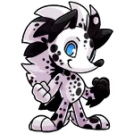 Dalmation rofling